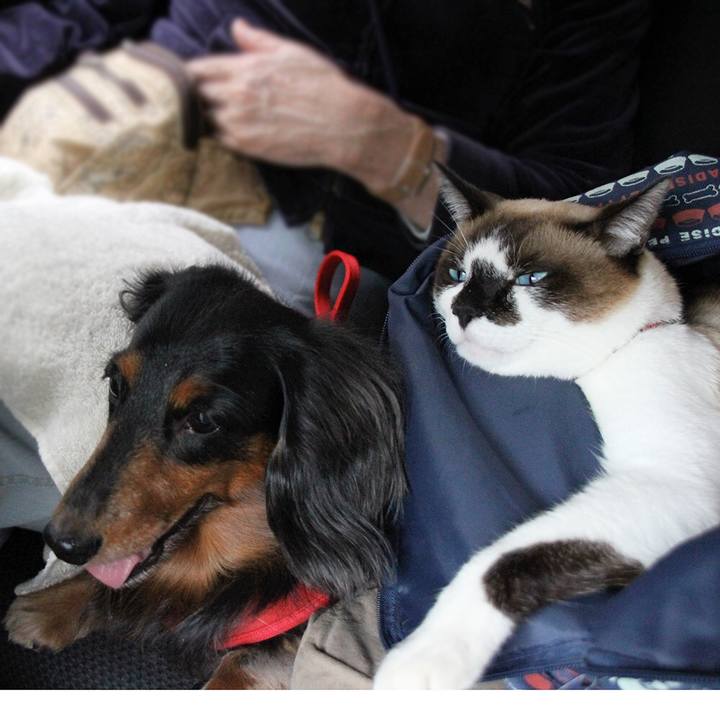 34f26bc0 fb5b 49ea 91b7 f40b42451a6e