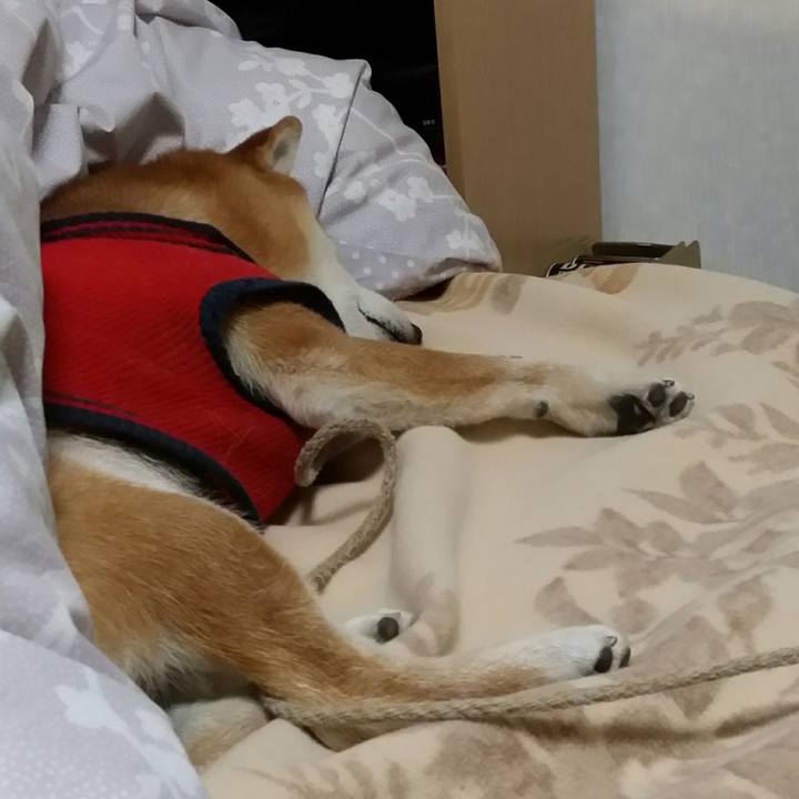 34f2afd2 b4e1 4085 bf76 9c54ef0f5d21