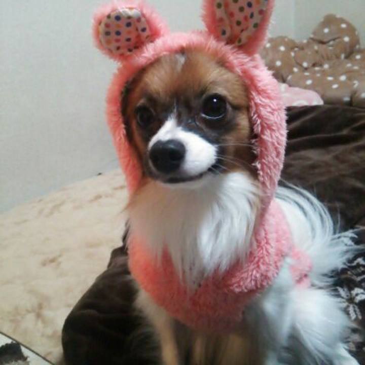 34f2b54f bd56 41ac a605 4feae0d1fab0