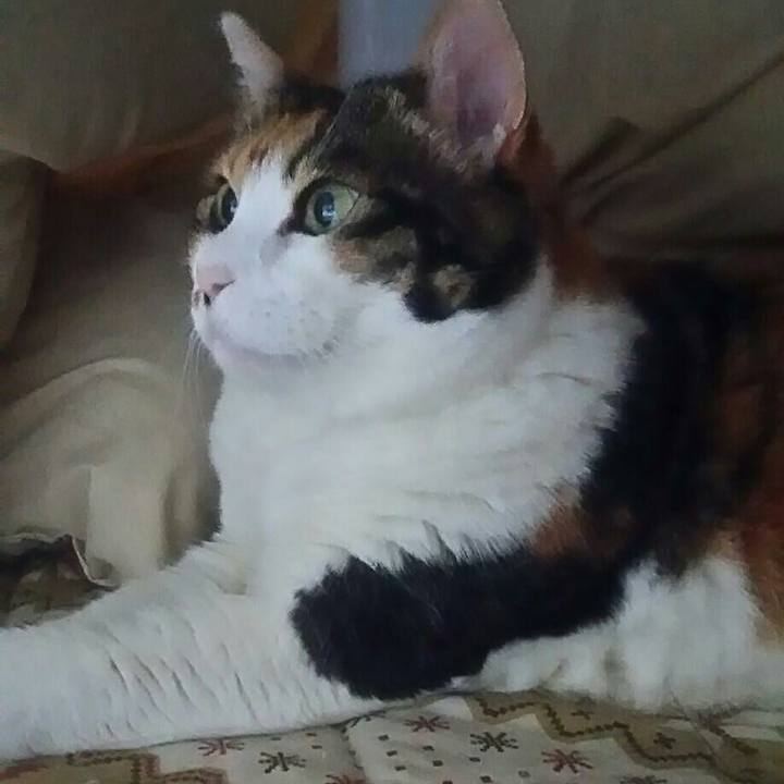 34f2ca81 6f23 47f3 9ab4 3901eb28ed89