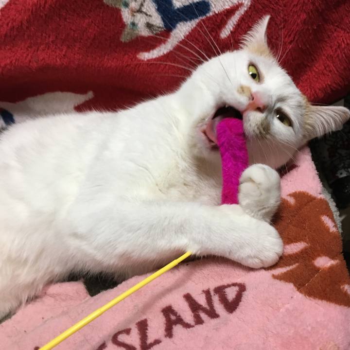 34f30292 3618 4e44 bd56 8e7dcd19a1a3