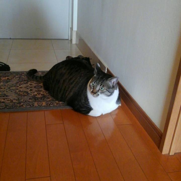 34f347f0 abe0 4083 8c9d 96f21d01fa34