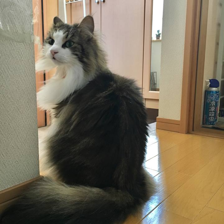 34f35aba bc39 4df4 b47c f2536e599de9