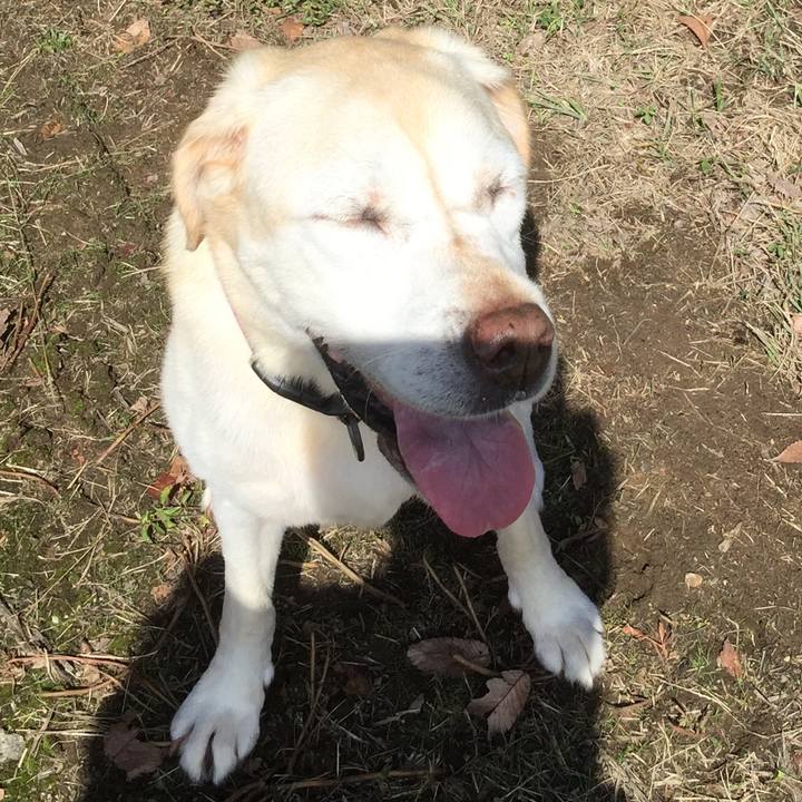 34f39d89 47be 47de a482 ca544eed937d