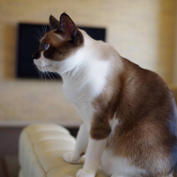 34f3f510 fc66 4a29 a9f5 750e16729af9