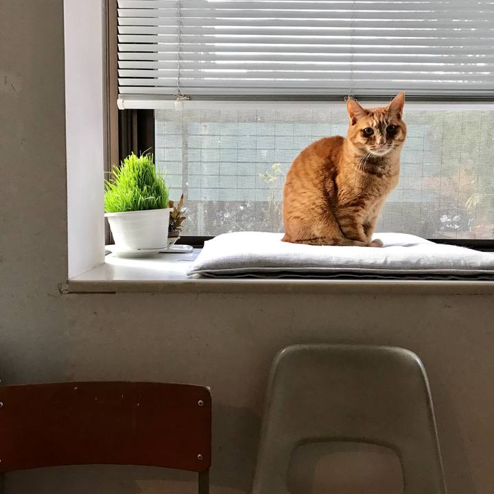 34f40fc0 71e5 4a08 bde5 92b40490f368