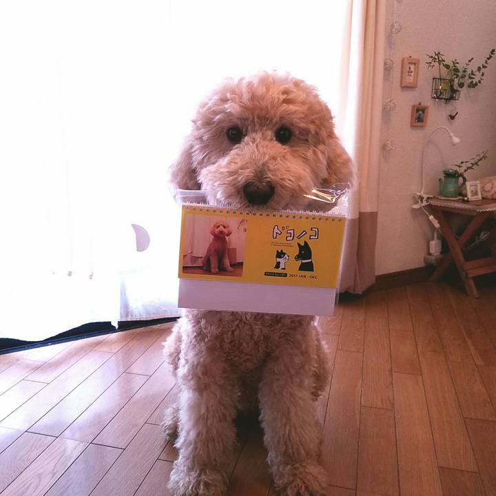 34f444c9 27b8 45eb adf8 97e97ea7c68e