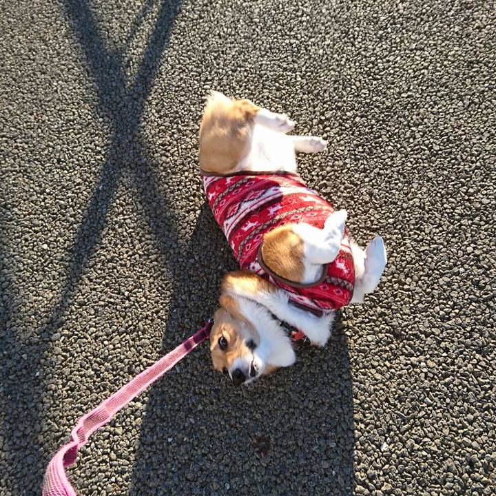 34f49d02 f512 44a9 852b f40ad5b0a799