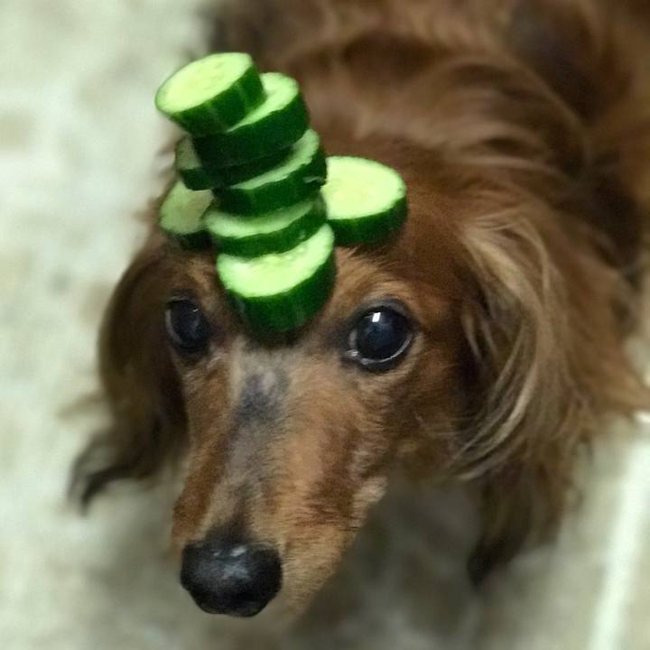 34f4b5a5 6e5a 4067 adcc 129b302b1fb0