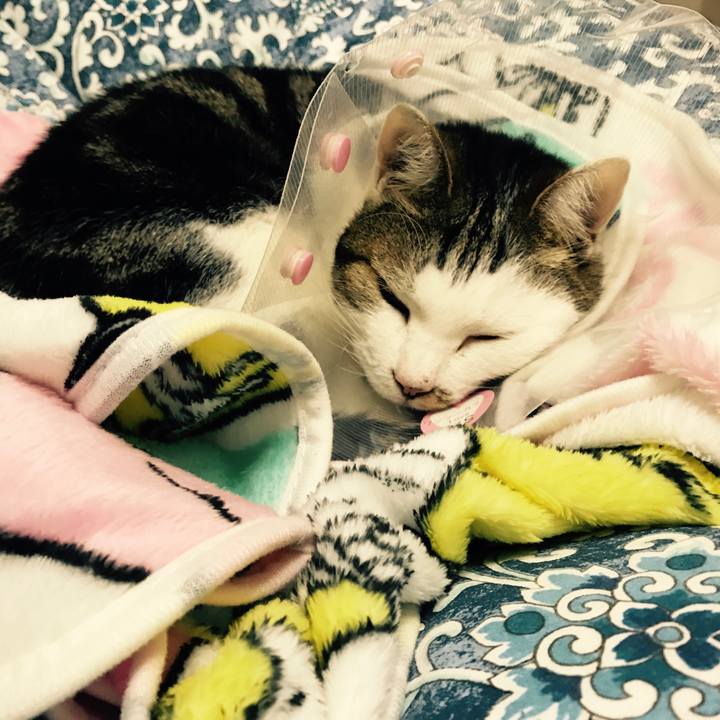 34f4d8aa ce28 4202 9f96 978359c99102