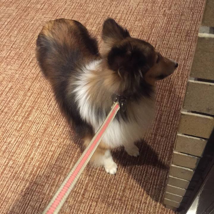 34f535e2 436e 4328 a849 c4540c22f04f