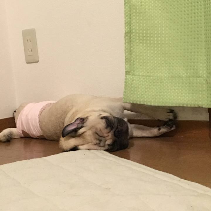 34f56216 f5ab 4a0e 91eb 8eba6bc5105d