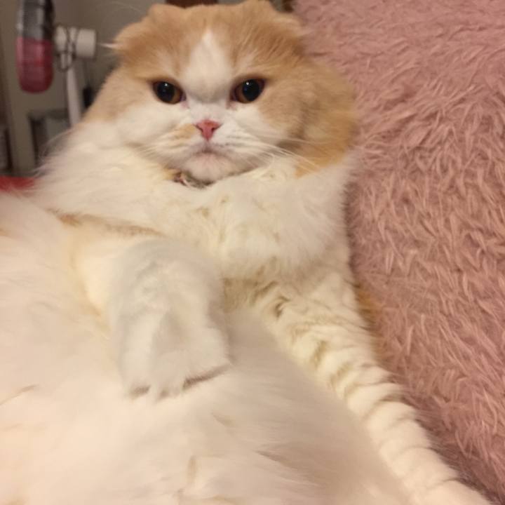 34f5a769 0890 4096 b67d cdf56b0d003b