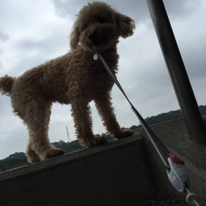 34f5f05e 94b7 468f 8c7a 668ed6382cf5