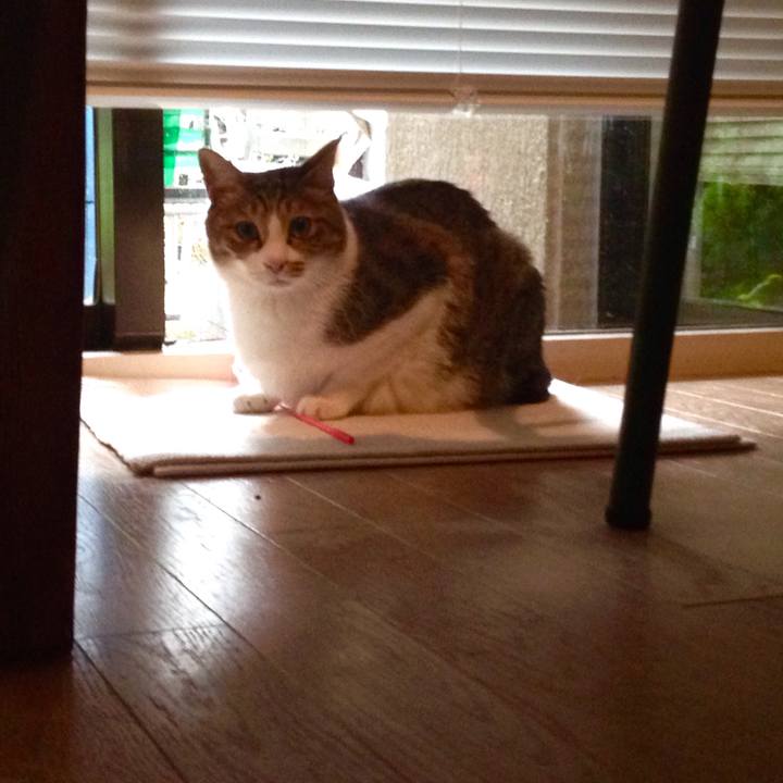 34f5f9e9 b25e 4004 a04b db3ccabd347b