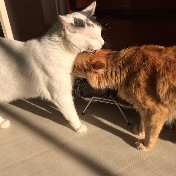 34f63ba2 c621 40d0 9bdc 8ad5499bf849