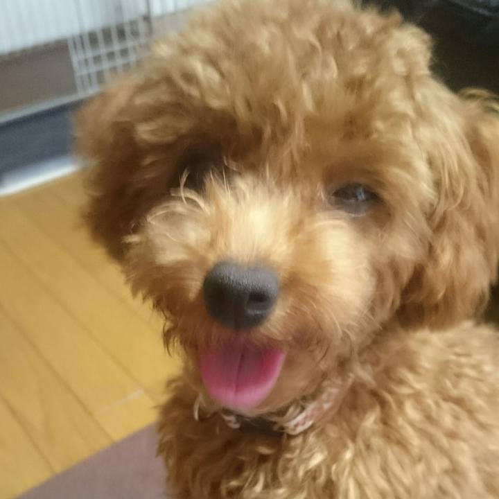 34f6a177 ce52 4ebe 90e6 5469e5d814ee