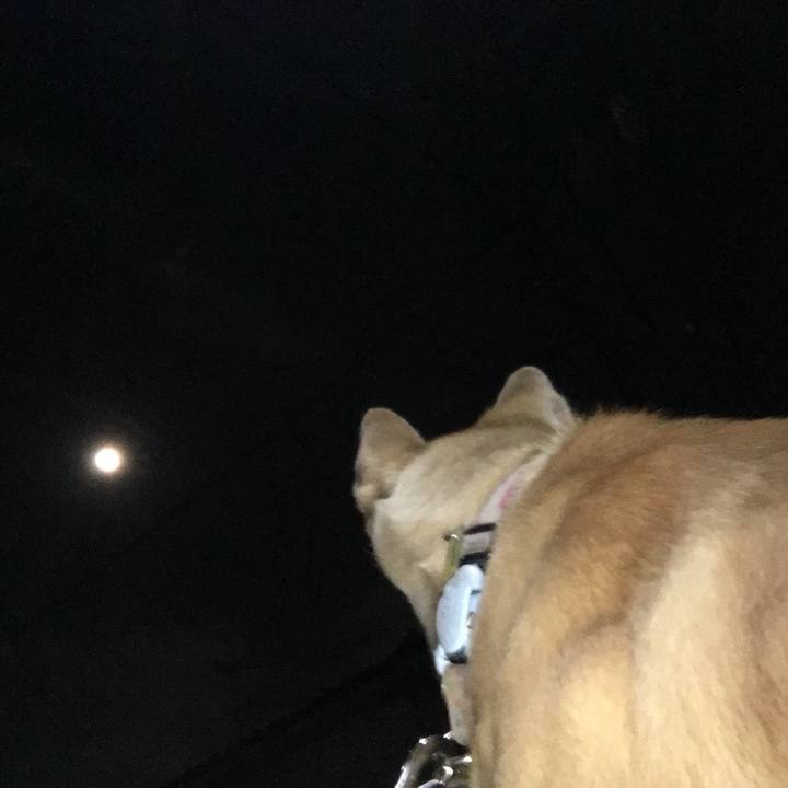 34f7be3a a987 4494 bdaf fc3451a3e255