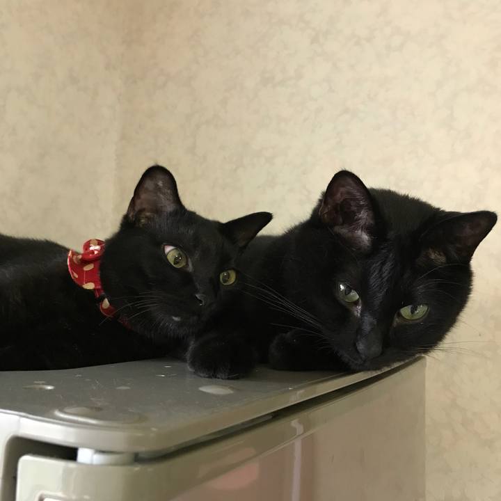 34f7c61e 0310 4003 b629 ec518a5a5ed2