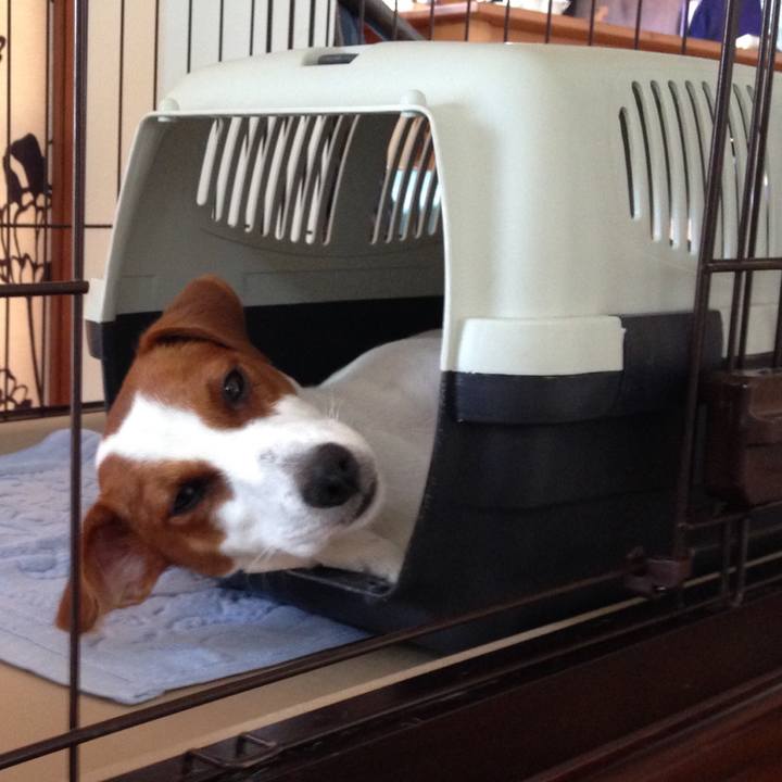 34f90f79 5158 4813 b276 8c4573c7116e