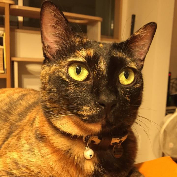 34f9538d 2b1d 49d8 a8cb fa4e9d8ae72e