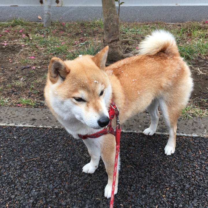 34f99ccc 2e9b 4aa8 a45f a6ed90cbb997