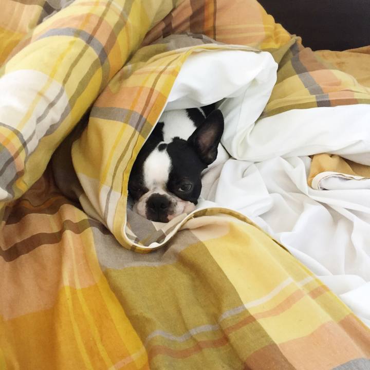 34fa0d72 b7d1 4782 824a be52c01d4d4c