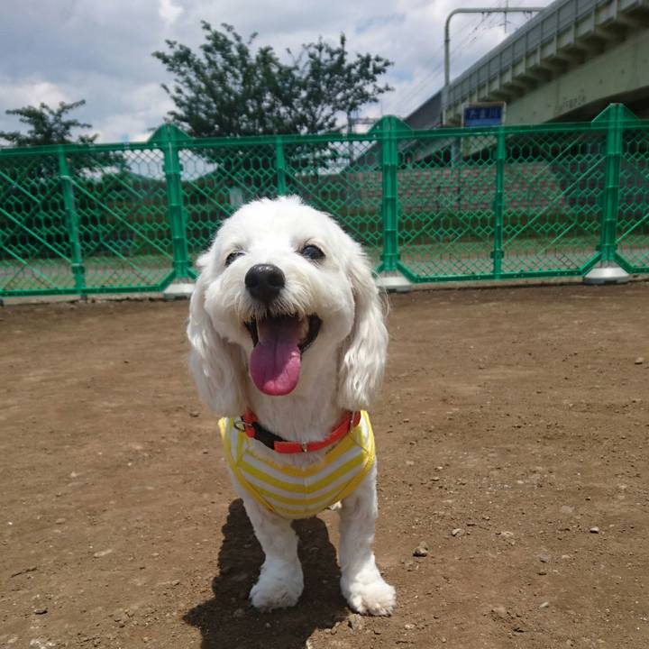 34fa3ef7 ec64 409b a0cb 907536b0109d