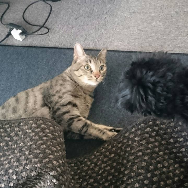 34fa8940 314f 4a80 9a2e 0a111310211a