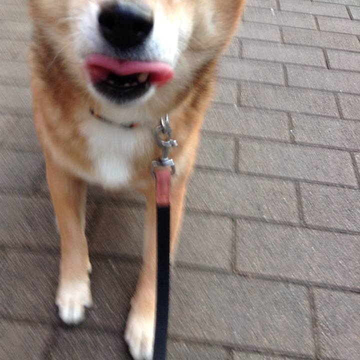 34faaf67 c5a3 44af 8643 eb08a1891e4e