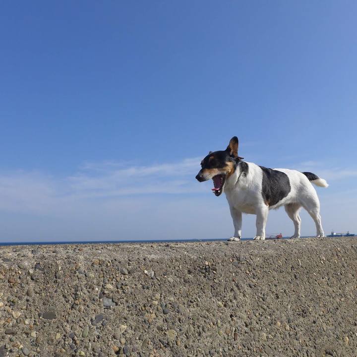 34fab7f3 f72a 4a5a b9fb 9b9e8539a0c9