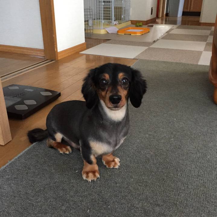 34fae209 cb83 4d02 9730 748b05620880