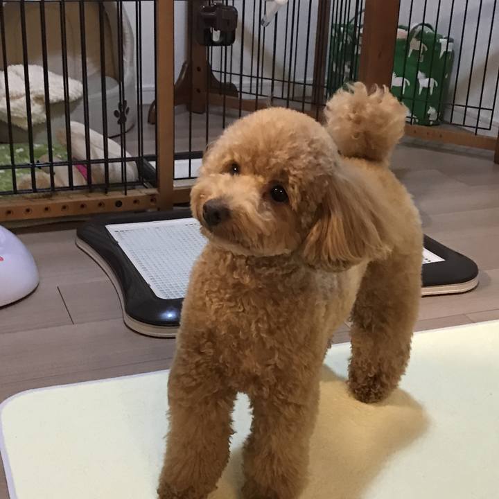 34faf000 ab47 4b53 9723 76b809b2b3f1