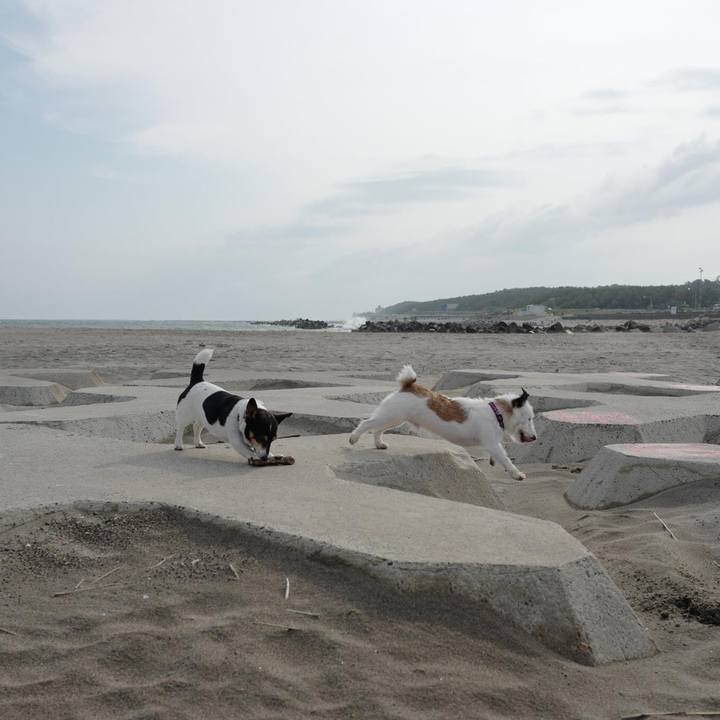 34fb2899 129d 4409 a9e0 fabb7462c274