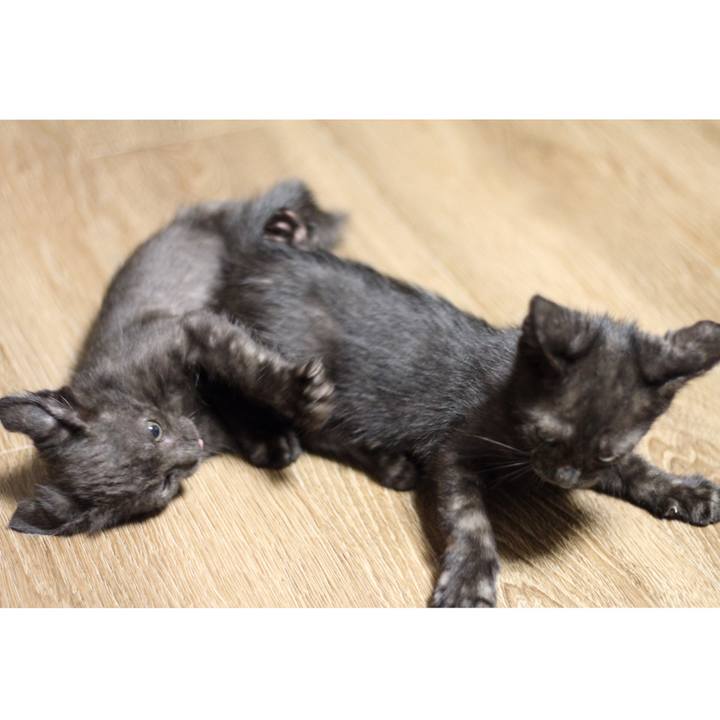 34fb5c2c ad9b 462f a467 c574cfc9763a