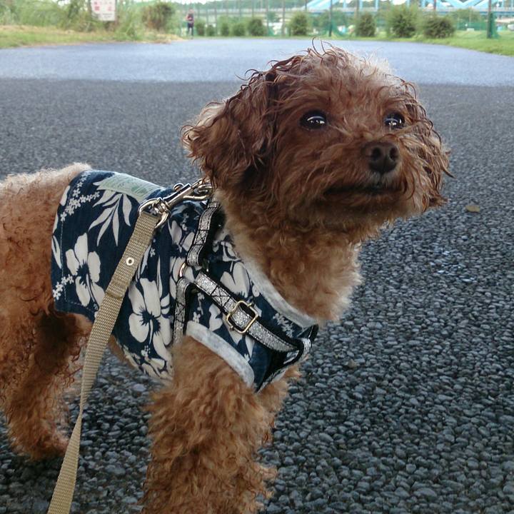 34fc0fab c53f 4959 a7c7 745492d7e691