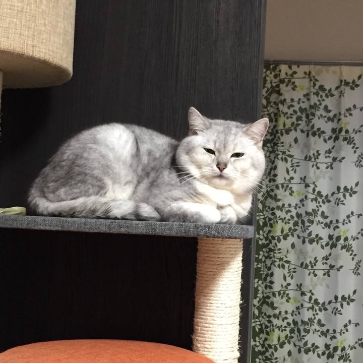 34fc952b 5a62 473a a208 bb35fe594f59