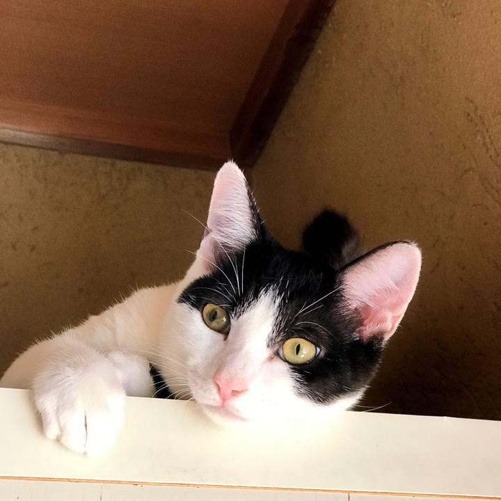 34fca191 2754 49ff a8c2 71ca98eebf12