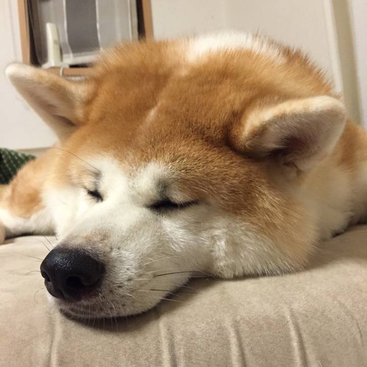 34fcd621 6332 4e81 b172 8cd24c24f2d6