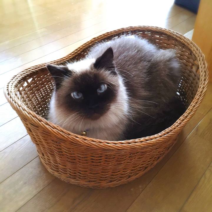 34fd6509 dbee 446c b44d d34422fa18de