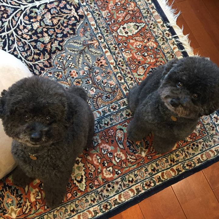 34fd69fe 77e0 44d5 8dce aab170309cfb