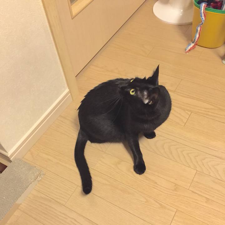 34fe152c d9d0 4458 8ac8 e0db7ab94e3e