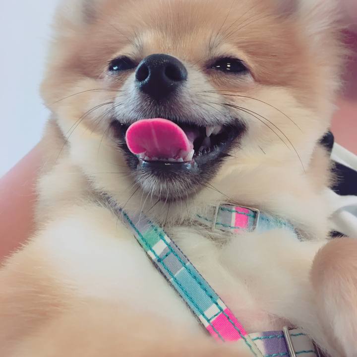 34fe54ba e92f 4fb7 a351 f04a4f131c6e