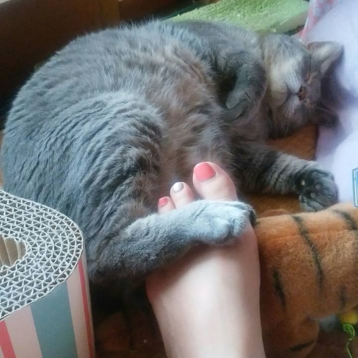 34fe6091 0c37 4749 8d24 345c3a5882a4