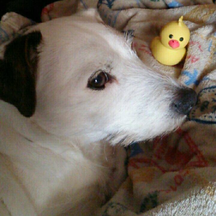 34ff97ea 0c3b 4849 b474 2498287e1781