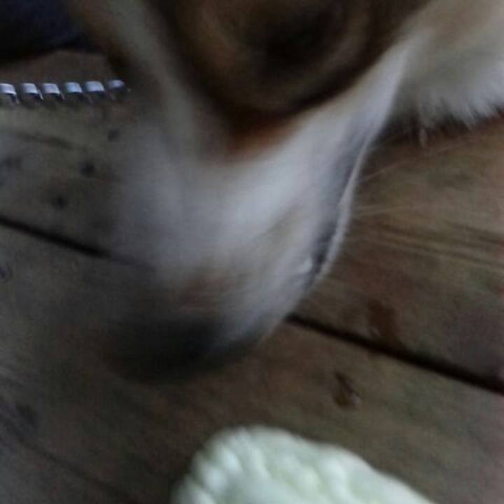 35007c61 47f0 4ee5 b18e 3e7245b8958d