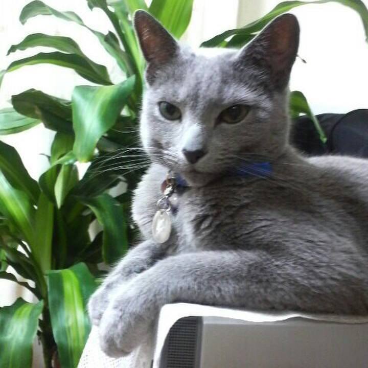 3500c728 337e 48a9 90e8 3b6ee9ea31da