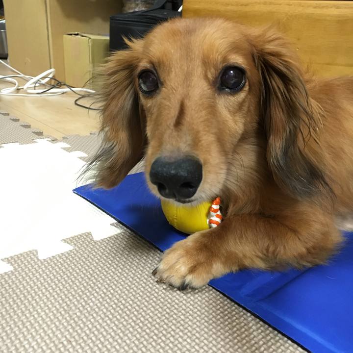 35010ea0 c364 423b 993f 6184cb973c4d