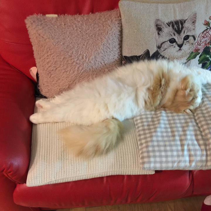 3501693c 1890 47d1 858b c3795ef95190