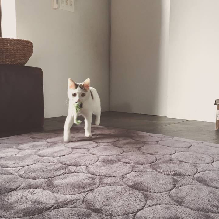 35019644 00d8 44a5 84ab c300a1c0834b